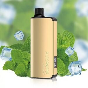 ALIBARBAR INGOT MIAMI MINT – 9000 PUFFS
